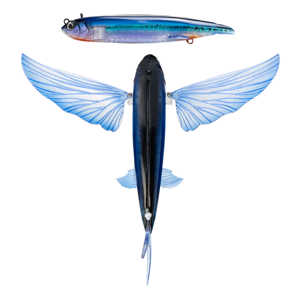 Nomad Slipstream Flying Fish 11 Electric – Bill Buckland's